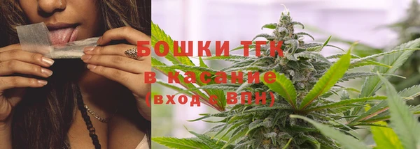 эйфоретик Няндома