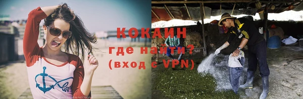 первитин Осинники
