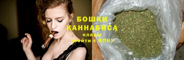 эйфоретик Няндома