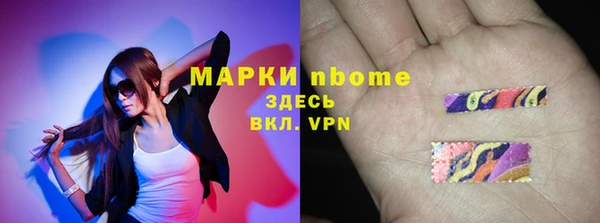эйфоретик Няндома