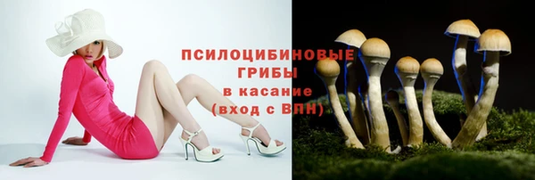 эйфоретик Няндома