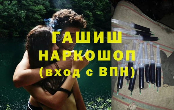 эйфоретик Няндома