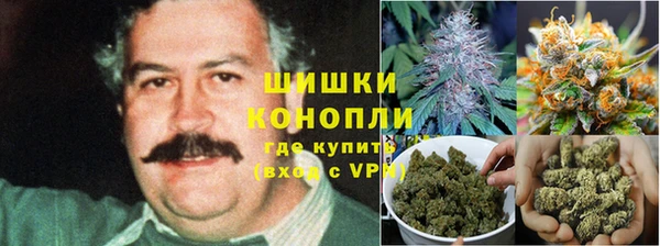 прущая мука Инта