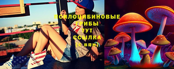 прущий лед Новозыбков