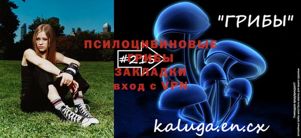 спайс Осташков