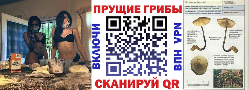 Галлюциногенные грибы ЛСД  Краснослободск 