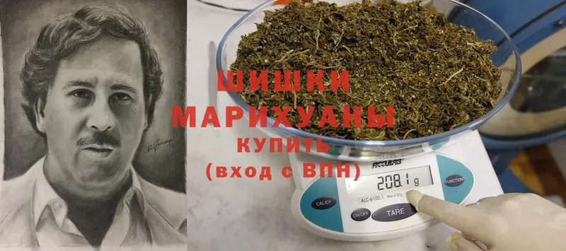 Шишки марихуана планчик  наркота  маркетплейс как зайти  Краснослободск 